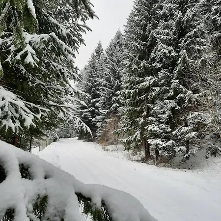 Apartment Kosciuszko Muszyna