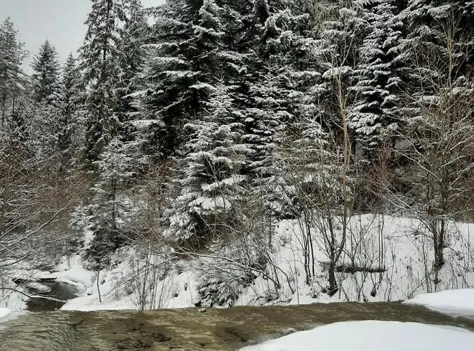 Apartament Kosciuszko